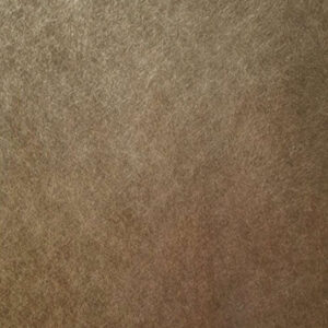 Medium Bronze